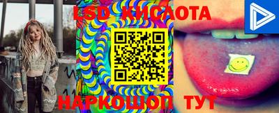 наркотики Новозыбков