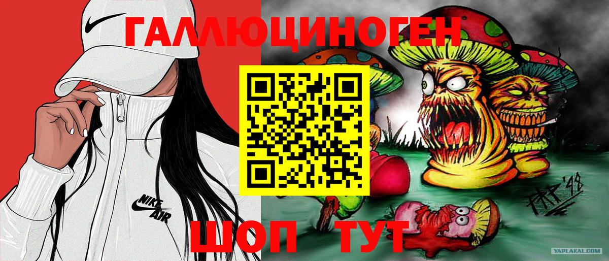 Псилоцибиновые грибы Psilocybe  Вход с VPN  Татарск 